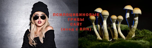 Альфа ПВП Куйбышев