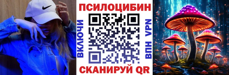 kraken как зайти  Енисейск  Галлюциногенные грибы мицелий  купить  сайты 